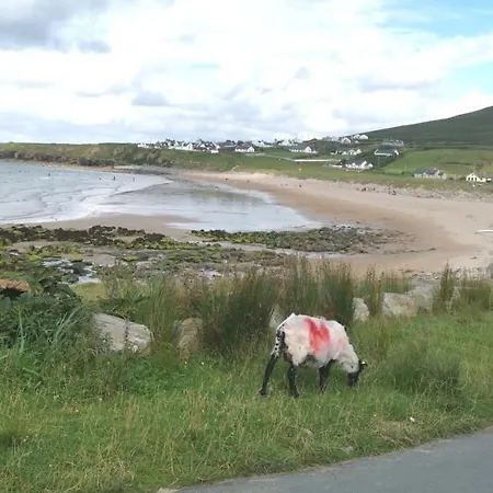 Apartment Ground Floor Slievemore *